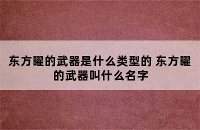 东方曜的武器是什么类型的 东方曜的武器叫什么名字